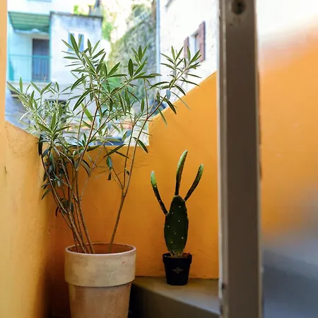 Tatil Evi Yellow On